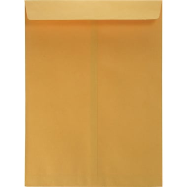 Catalog Envelopes, Kraft Paper, Adhesive, 9.00 in ( 22.86 cm )X 12.00 in ( 30.48 cm ), Brown