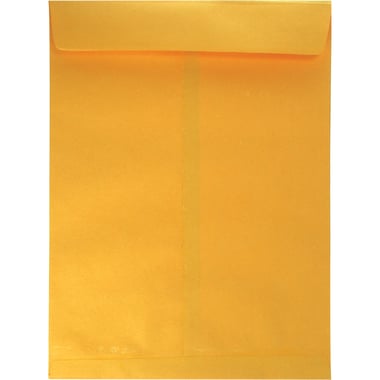 Catalog Envelopes, Kraft Paper, Adhesive, 10.00 in ( 25.40 cm )X 13.00 in ( 33.02 cm ), Brown