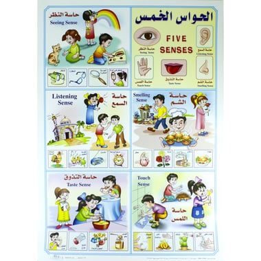 Five Senses Chart, Arabic