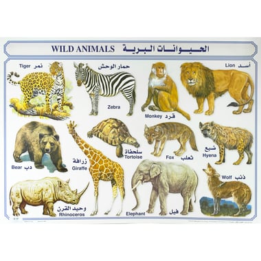Wild Animals Chart, Arabic