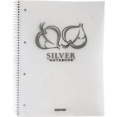 Mintra Gold & Silver Notebook, A4, 200 Pages (100 Sheets), Single Ruled, Silver
