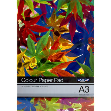 Campap Art Paper Pad, 80 gsm, A3, 30 Sheets