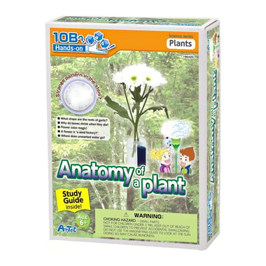 ArTeC 10B Hands-on Lab Anatomy of a Plant Science Learning Activity Set, English, 6 Years and Above