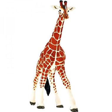 سفاري وايلد فيل Wonders: Reticulated Giraffe نسخة مطابقة، 3 سنوات فأكثر، 9.5 بوصة X 7 بوصة