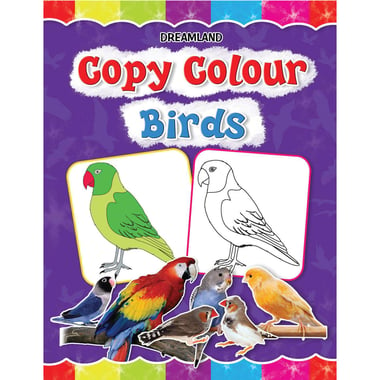 Copy Colour: Birds