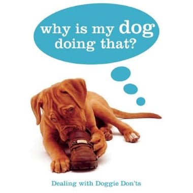 Why is My Dog Doing That - Dealing with Doggie Don'ts