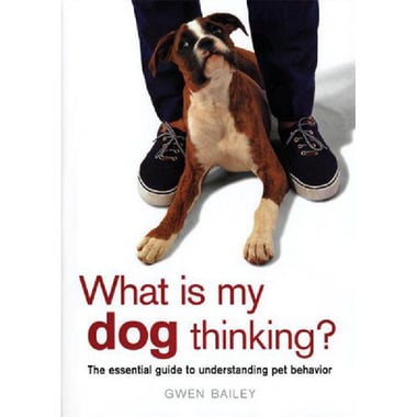 What Is My Dog Thinking - The Essential Guide to Understanding Pet Behavior