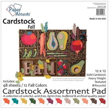 Paper Accent Fall Cardstock Assortment Pad, Solid, Heavyweight, Textured, Recycled