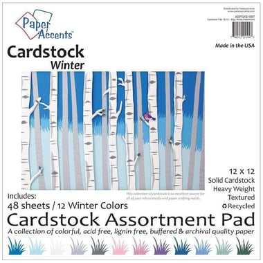 Paper Accent Winter Cardstock Assortment Pad, Solid, Heavyweight, Textured, Recycled