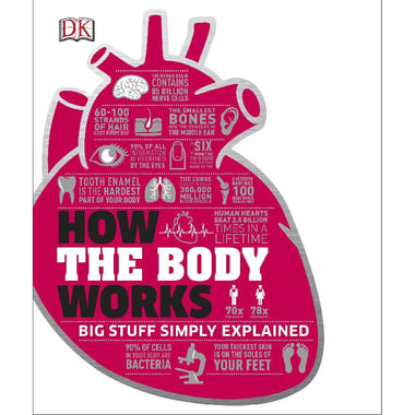 How the Body Works: Big Stuff Simply Explained