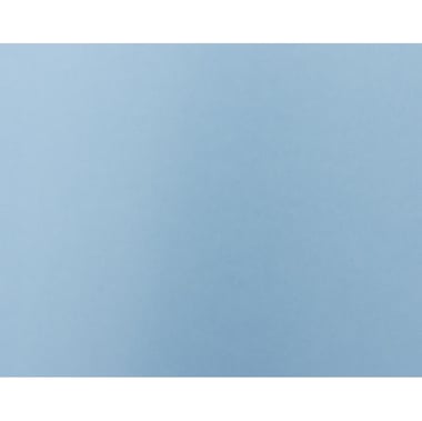 باكون رايل بلوذ Poster Board، ازرق فاتح، بوصة ( 71.12 سم 28.00 )X بوصة ( 55.88 سم 22.00 )، 220‎ gsm