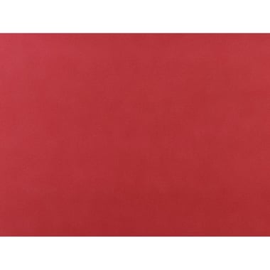 Pacon Rail Road Poster Board, Red, 28.00 in ( 71.12 cm )X 22.00 in ( 55.88 cm ), 220 gsm