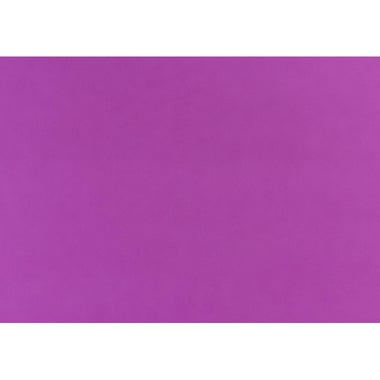باكون رايل بلوذ Poster Board، أرجواني، بوصة ( 71.12 سم 28.00 )X بوصة ( 55.88 سم 22.00 )، 220‎ gsm