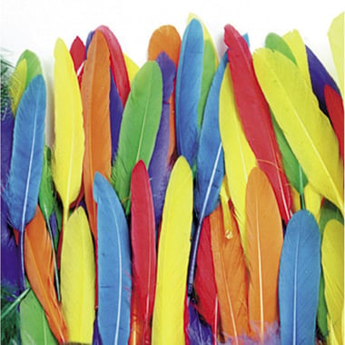 Creativity Street Duck Quills - Feathers, Craft Accessory, Assorted Color