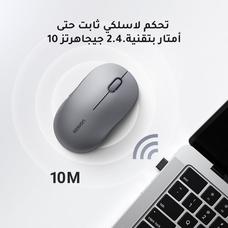 صورة 3